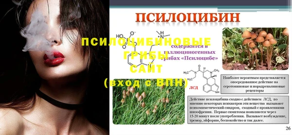 PSILOCYBIN Волосово